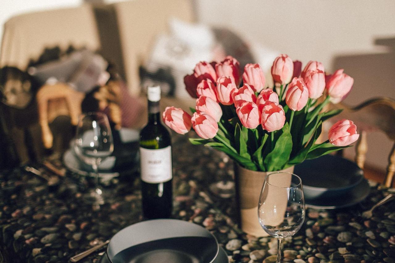 Apartments Novum Novi Vinodolski Zewnętrze zdjęcie